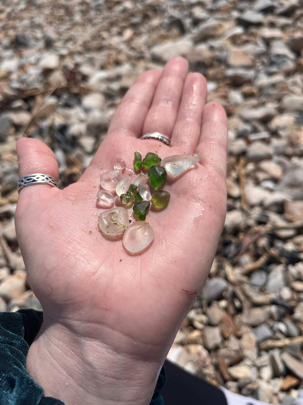 Fresh from the Shore