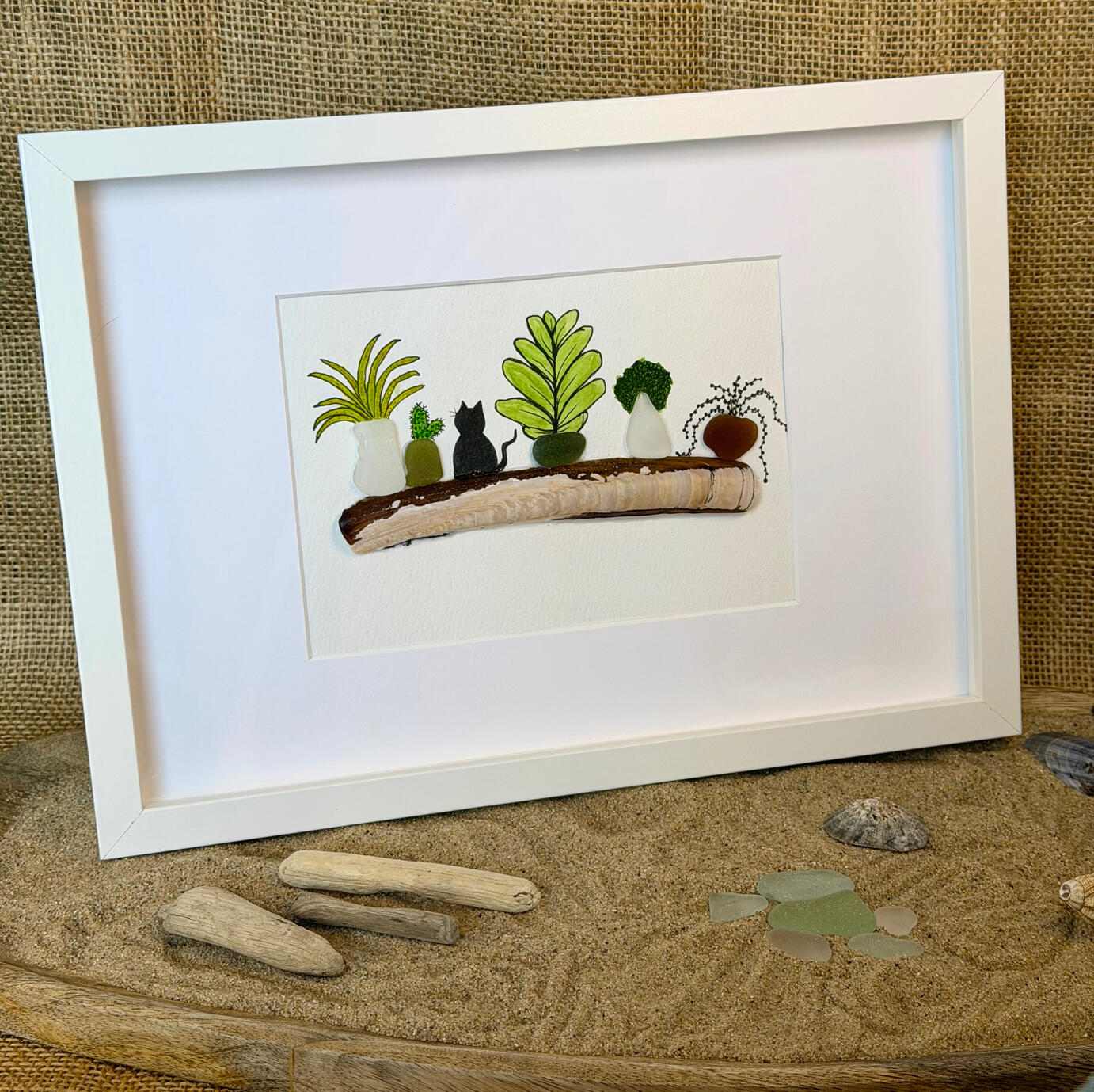 Razor clam shelf with Cat